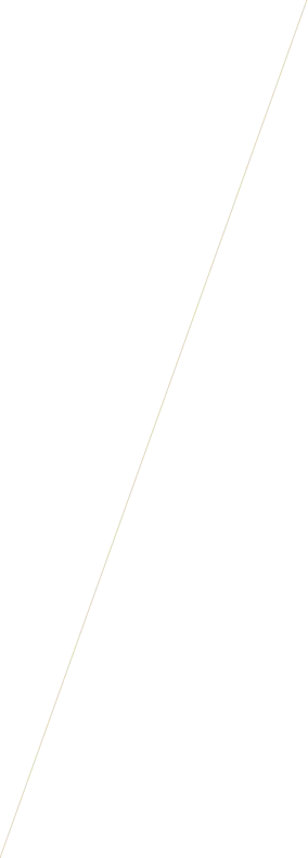 vector bg