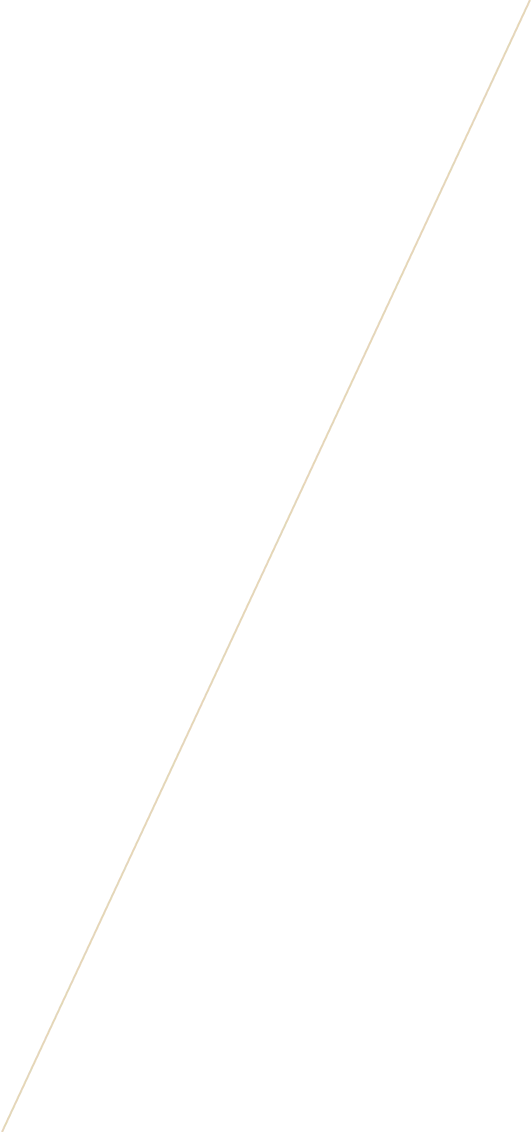 vector bg