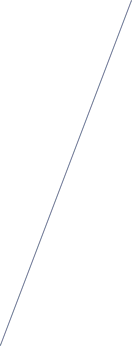 vector bg