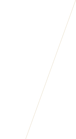 vector-line