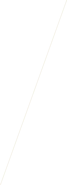 vector image