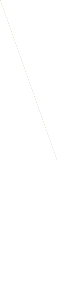 vector line