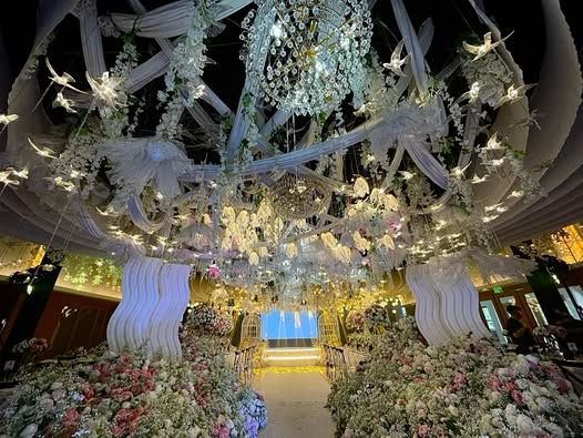 495090498_18501867583063555_628076681228689945_n