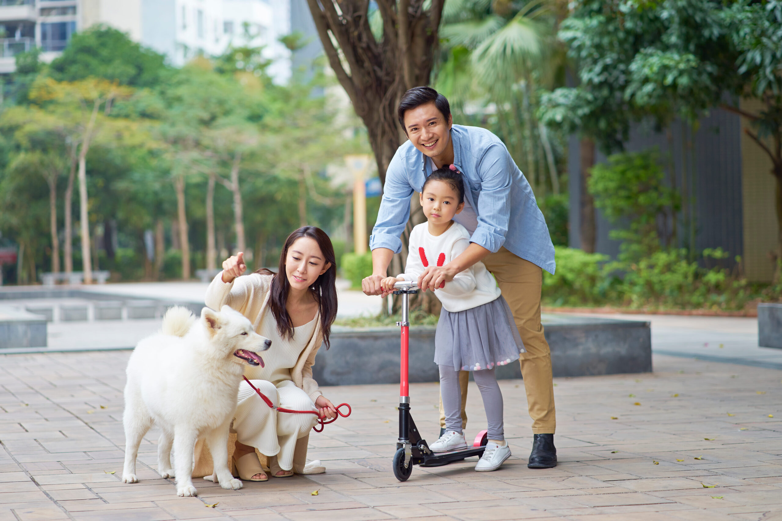 shutterstock_780070324 (1)(1)