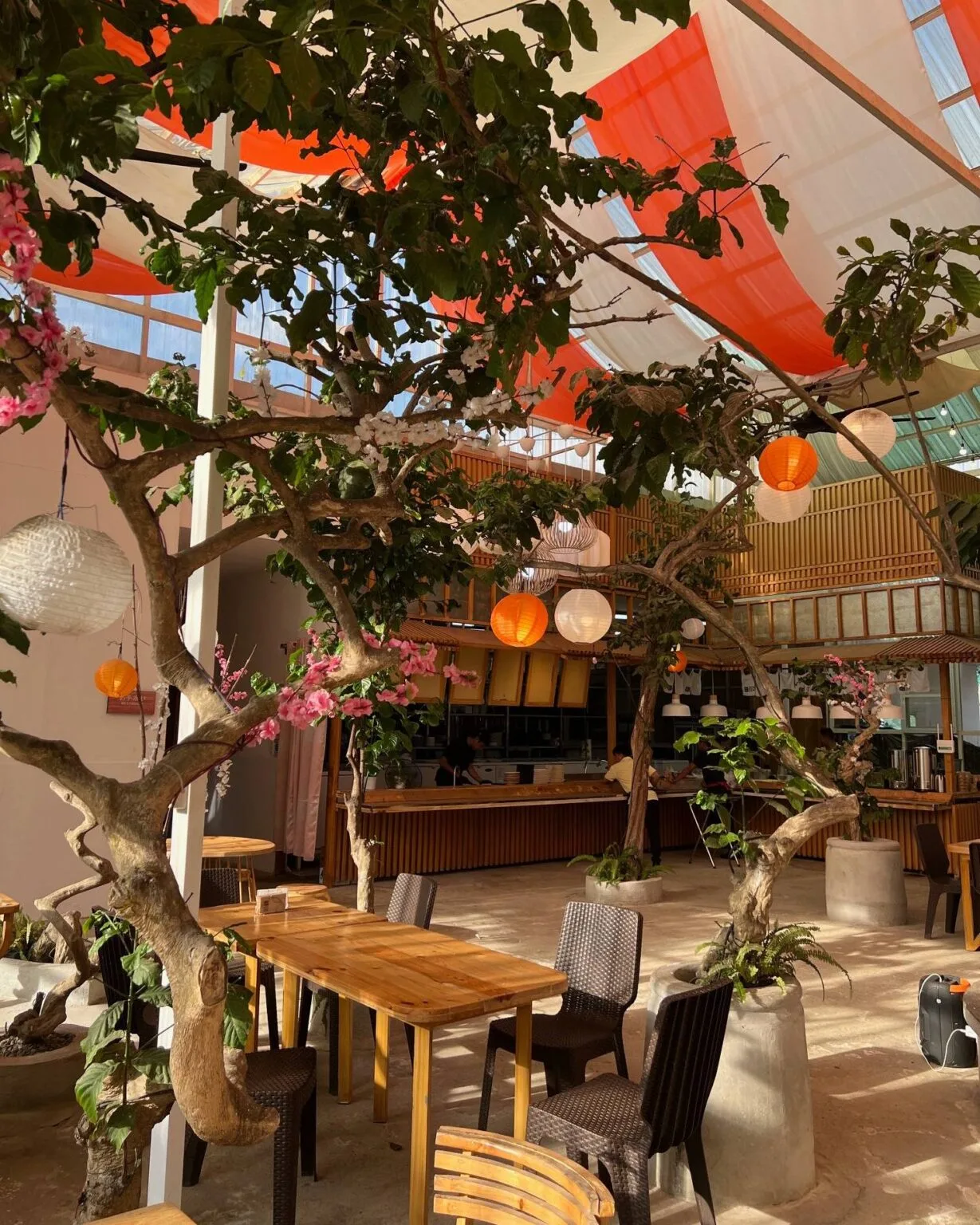 Zenzen Japanese Food Hall and Cafe