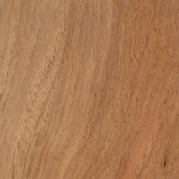 Natural Narra Wood Grain