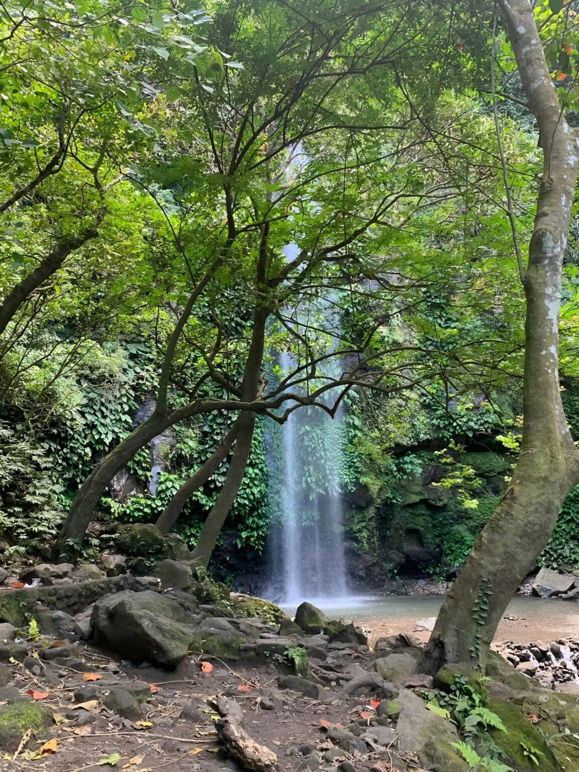 Dampalit Falls, Los Baños
