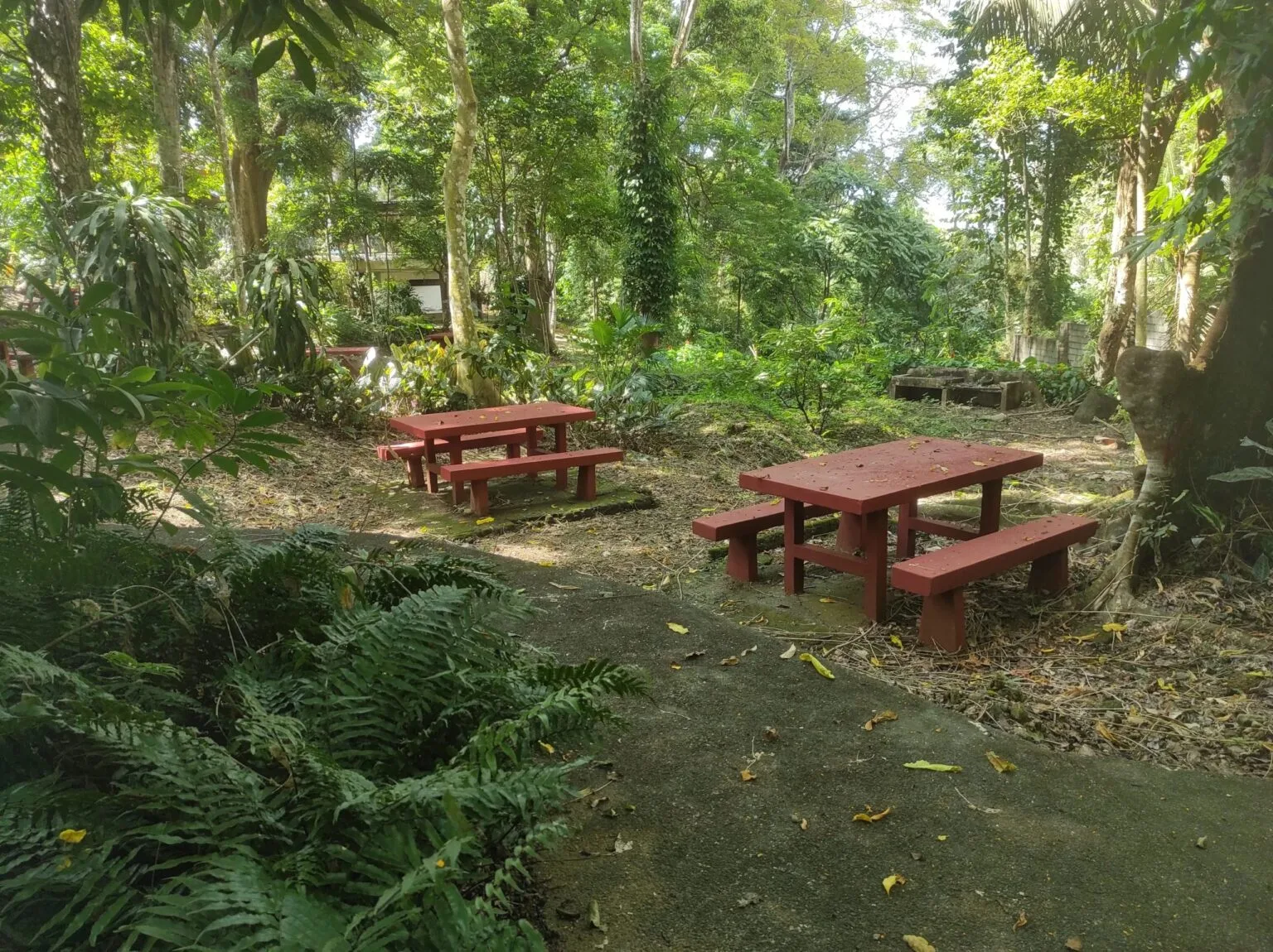 Mount Makiling Botanic Gardens, Los Baños