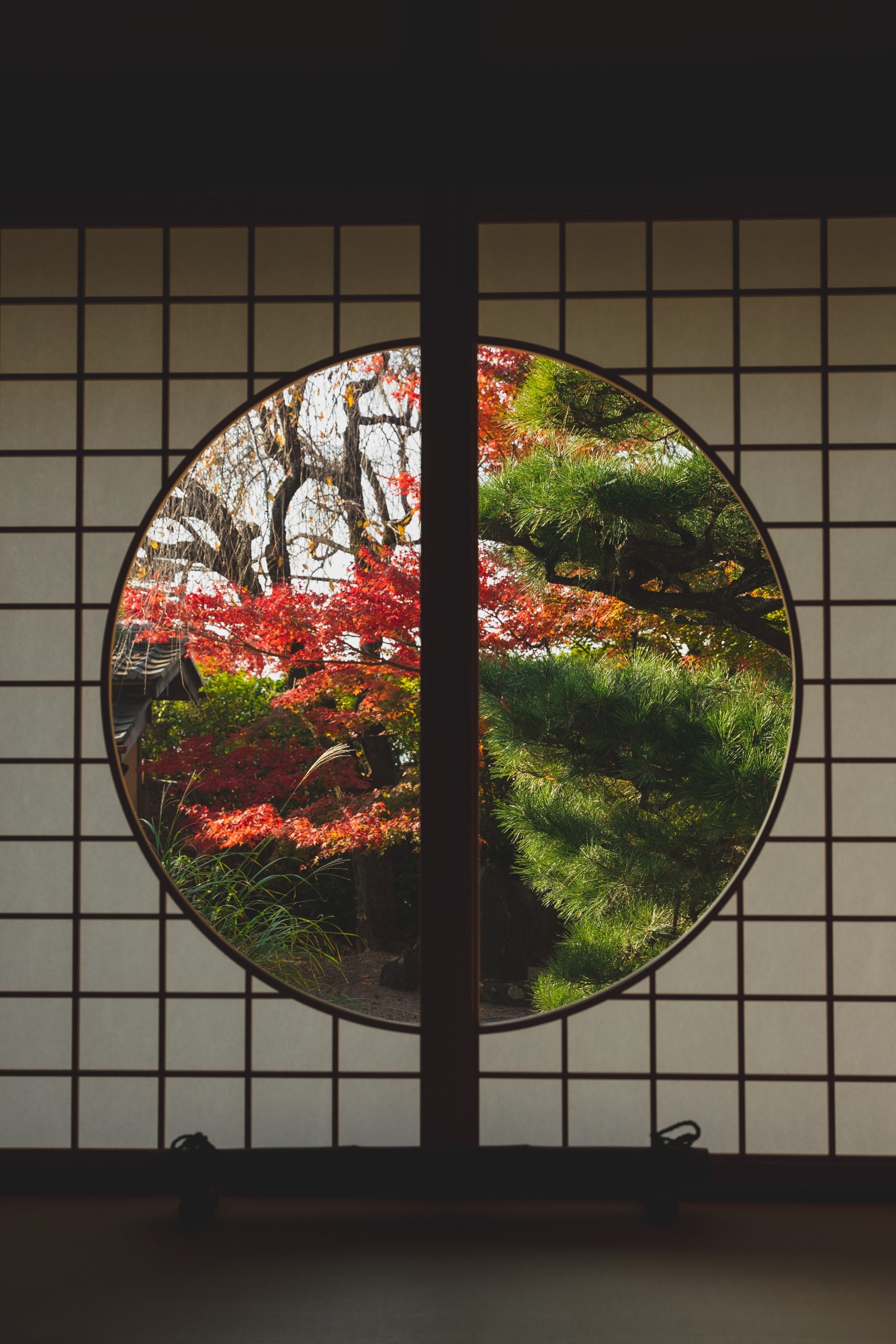 tune-with-nature