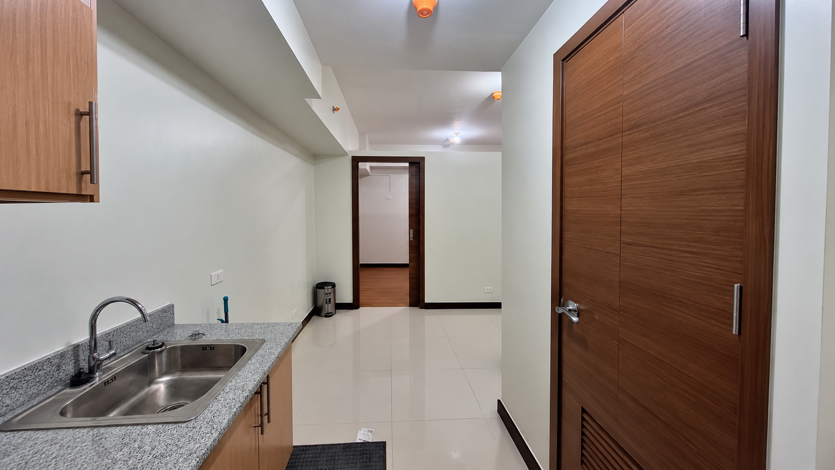 Modern Minimalist Kitchen Hallway