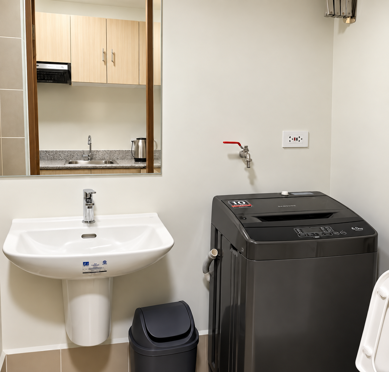 Modern Minimalist Laundry Bathroom