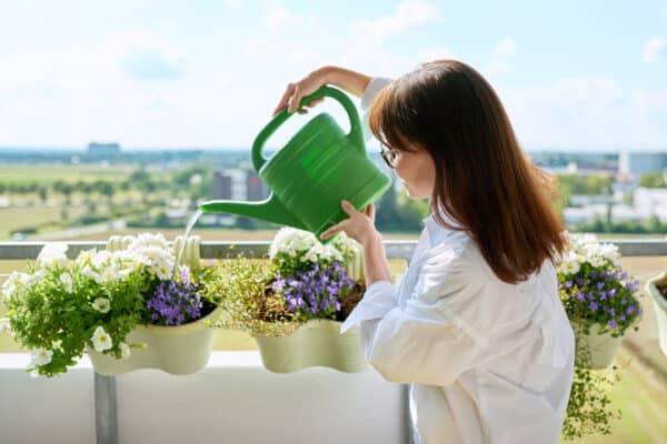 Woman watering potted plants from watering can on outdoor terrace at home
